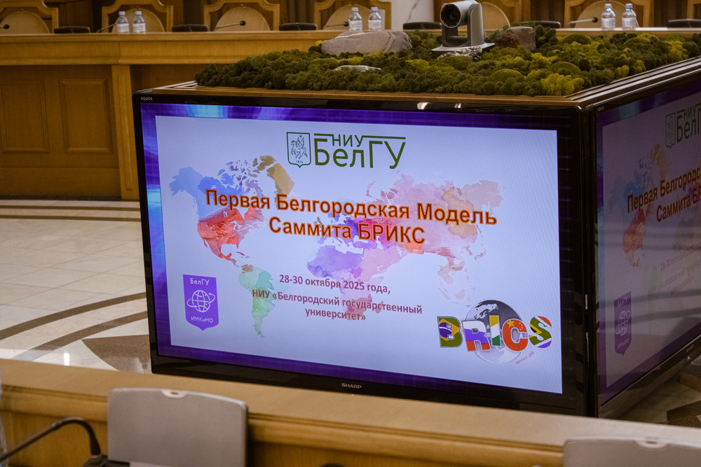 Первая белгородская модель БРИКС прошла в НИУ «БелГУ»